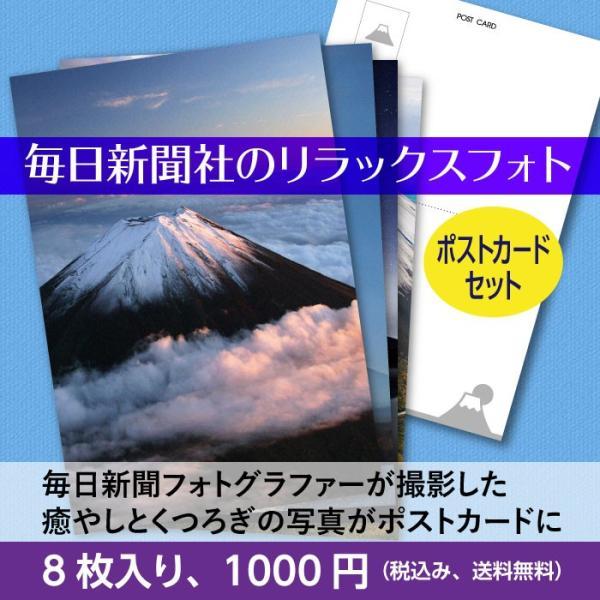 ポストカード　はがき　絵はがき　ネコ　富士山　癒やし　リラックス　写真　送料無料