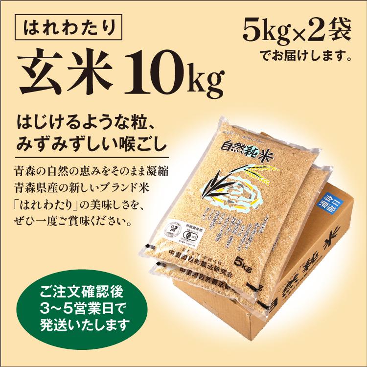 デュエルマスターズ 初心者オススメ‼︎ジョラゴンワンショット