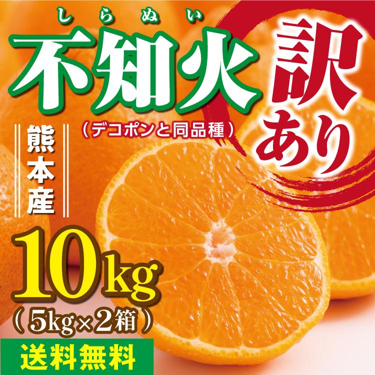 クリスマス　熊本産　デコポン　肥の豊　約10kg お買い得　家庭用　送料無料 みかん 不知火 デコポン 10kg 訳あり 家庭用 送料無料 熊本産 サイズM