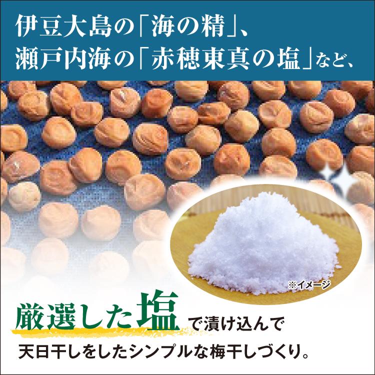 梅干し 紀州南高梅 つぶれ梅 うすしお味 無添加 1kg : 毎日通販Yahoo