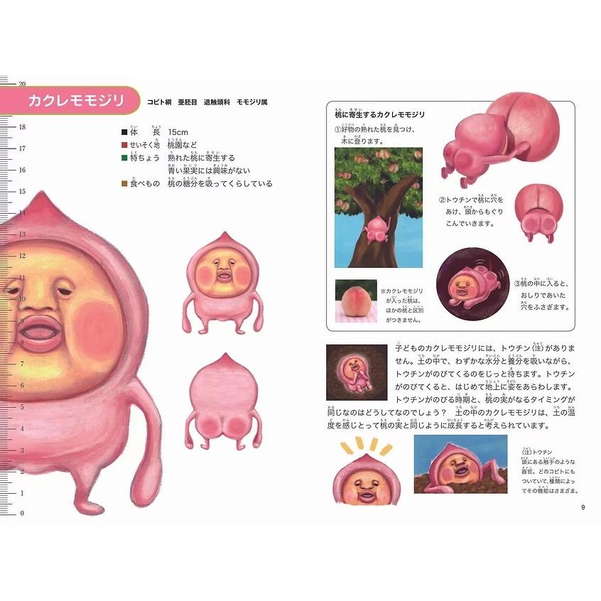 ☆送料＆ラッピング無料☆ 『こびと観察入門1 増補改訂版』 : 知育玩具