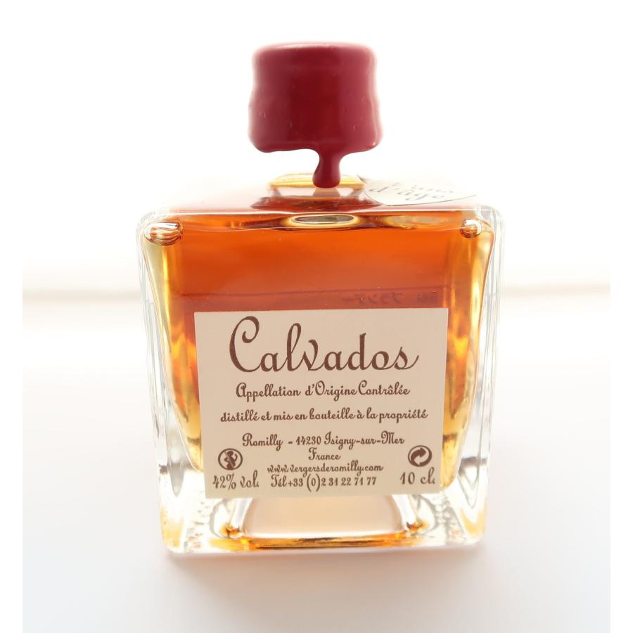 カルヴァドス VSOP ミニボトル100ml 42% - Calvados Mini カルバドス チープ カルヴァドス VSOP ミニボトル100ml 42% - Calvados Mini カルバドス チープ