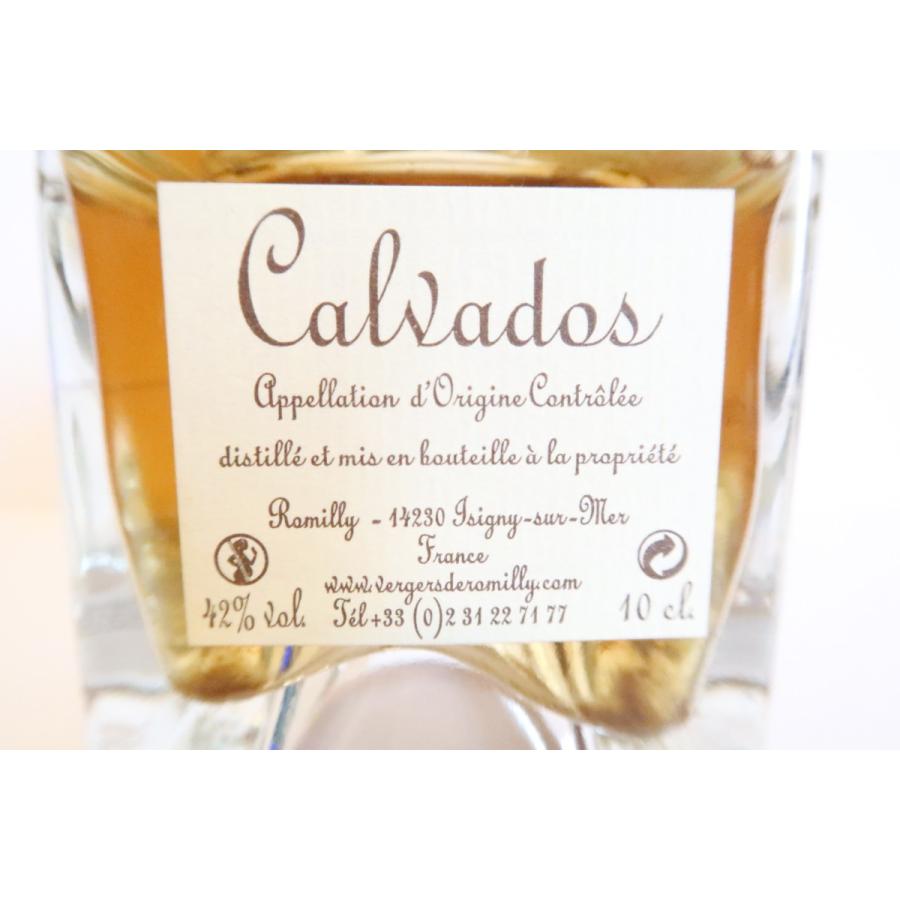 カルヴァドス XO 7年 ミニボトル100ml 42% - Calvados 7ANS Mini