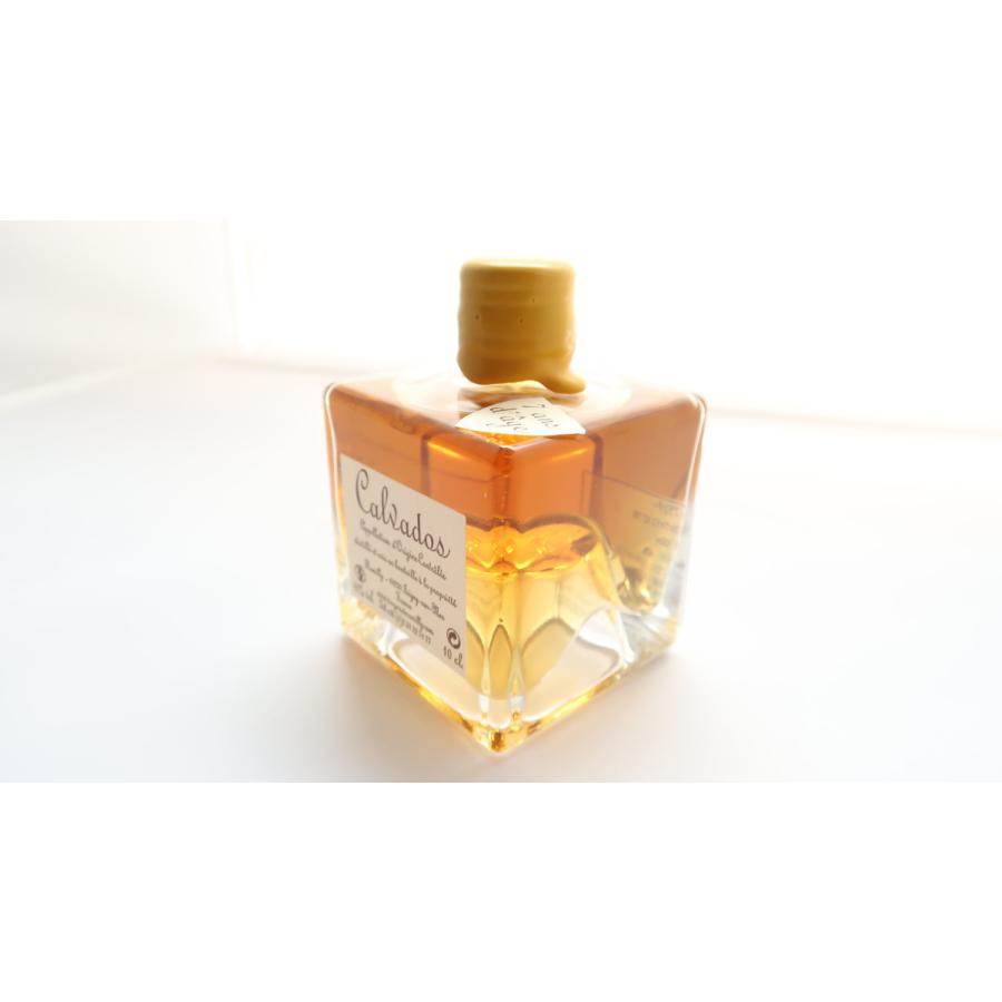 カルヴァドス XO 7年 ミニボトル100ml 42% - Calvados 7ANS Mini