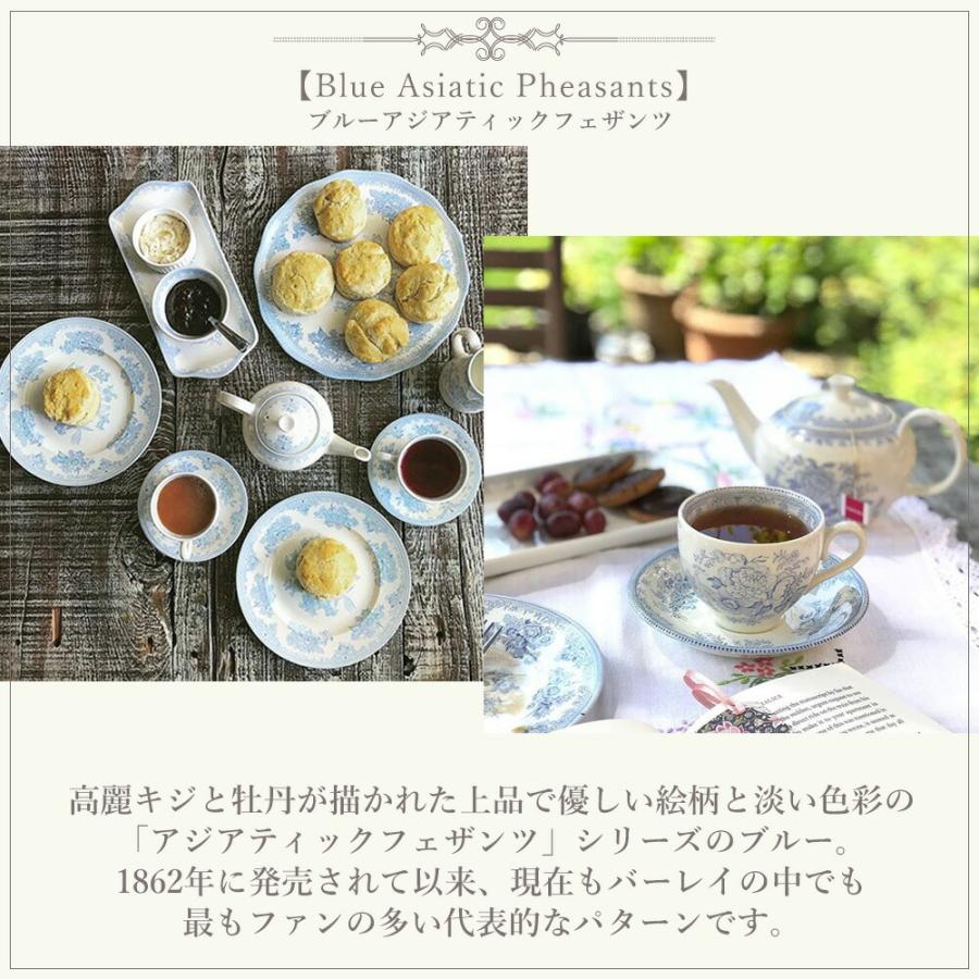 バーレイ レア アジアティックフェザンツ　18cmプレート　2枚セット未使用 BURLEIGH（バーレイ） ブルーアジアティックフェザンツ プレート S