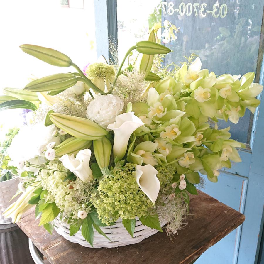 最新の激安 花 お供え アレンジメント 白緑 ラウンド Lサイズ お悔やみ 花 仏花 法事 お供え物 四十九日 法要 命日 一周忌 贈り物 生花 魅了 Www Gran Gusto It