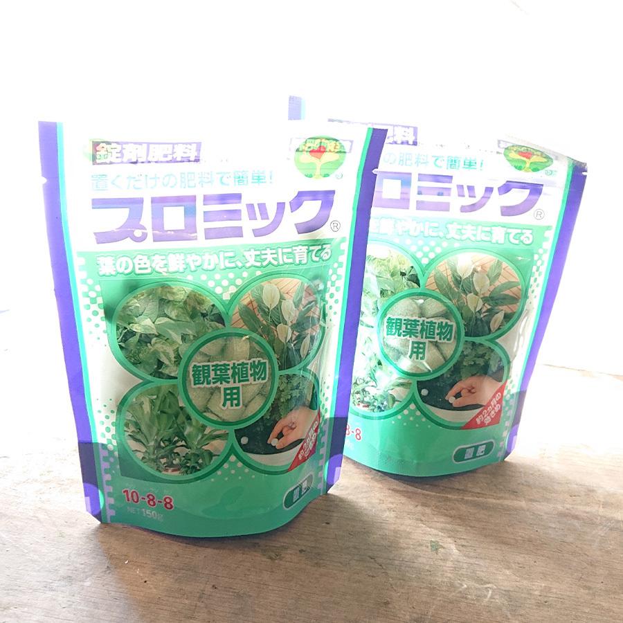 メゾンフルーリーyahoo 店の観葉植物 栽培セット ジョーロ スプレー ハサミ 活性剤 液体肥料 固形肥料 セット Ma Starterset Gr1ならyahoo ショッピング ランキングや口コミも豊富なネット通販 更にお得なpaypay残高も スマホアプリも充実で