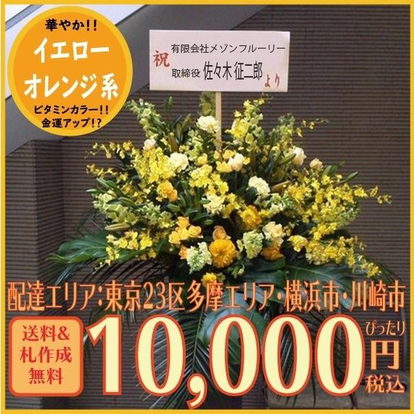 楽天市場 スタンド花 黄色系 円 ボリューム満点 開業祝開店祝出演祝 Tポイント10倍 都内川崎横浜限定 格安 Www Drjuice2u Com