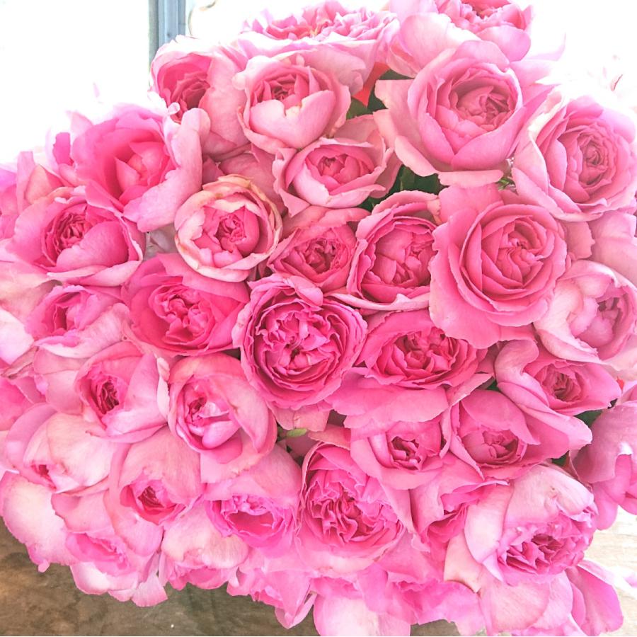 バラの花束 イブピアッチェ 香り バラ 本数指定 1本275円 ピンク色 母の日 退職祝 フラワーギフト お誕生日 地方発送 Rs 265yvespiaget メゾンフルーリーyahoo 店 通販 Yahoo ショッピング