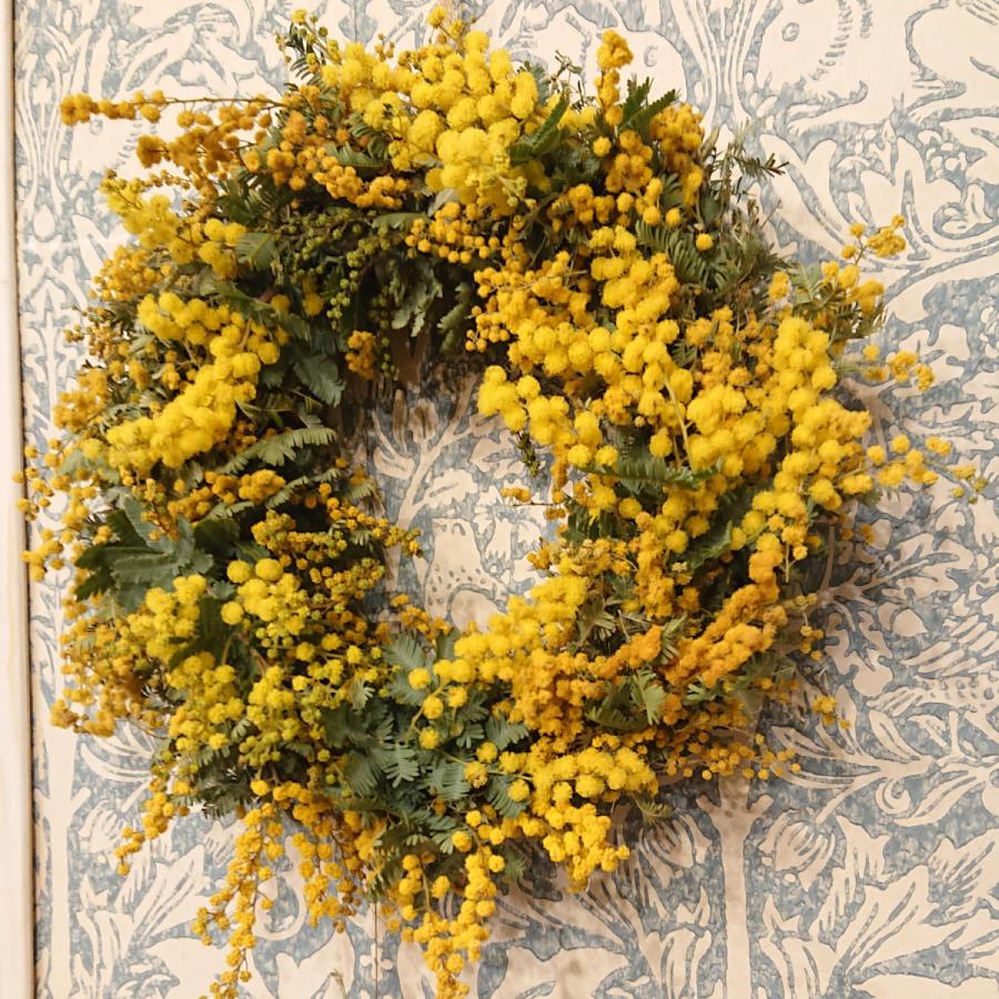 素敵な ミモザのリース 30センチ ドライフラワー ミモザ ドライになるリース ギフト 春のお祝い スワッグ 玄関 飾り Wantannas Go Id