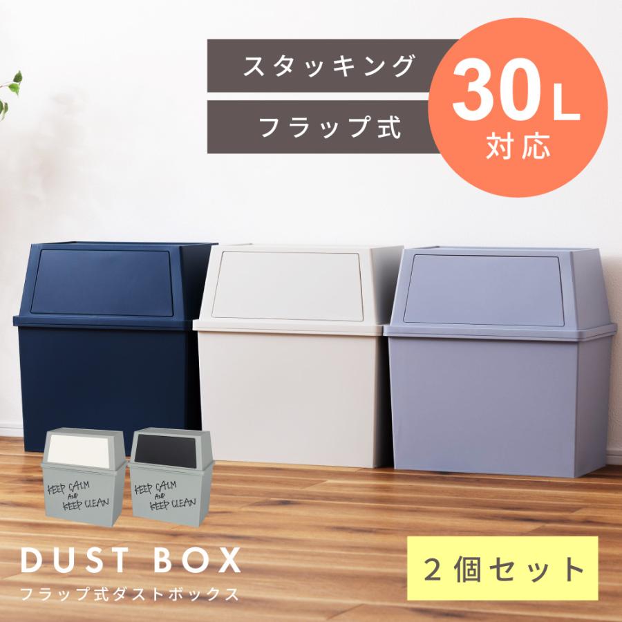 ゴミ箱 2個セット 30リットル おしゃれ 分別 スリム ごみ箱 蓋付き
