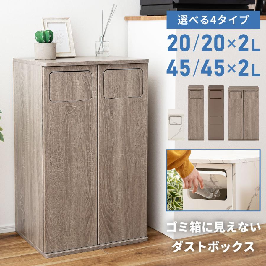 東谷 ゴミ箱 45リットル 2段 分別 45l スリム おしゃれ キッチン