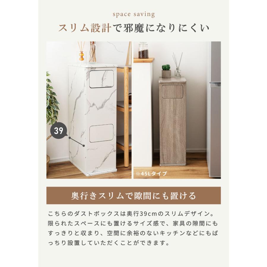 東谷 ゴミ箱 45リットル 2段 分別 45l スリム おしゃれ キッチン