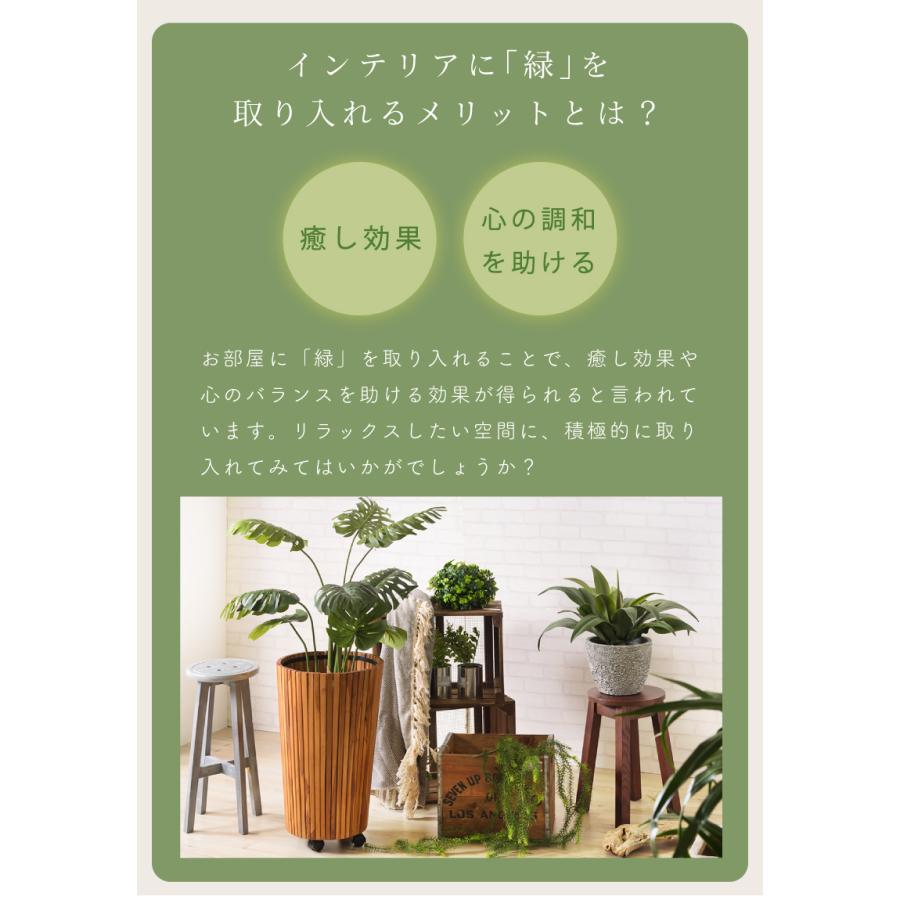 熊木杏里 CDセット18枚〜特典映像DVD3枚&コンサート映像7枚付属