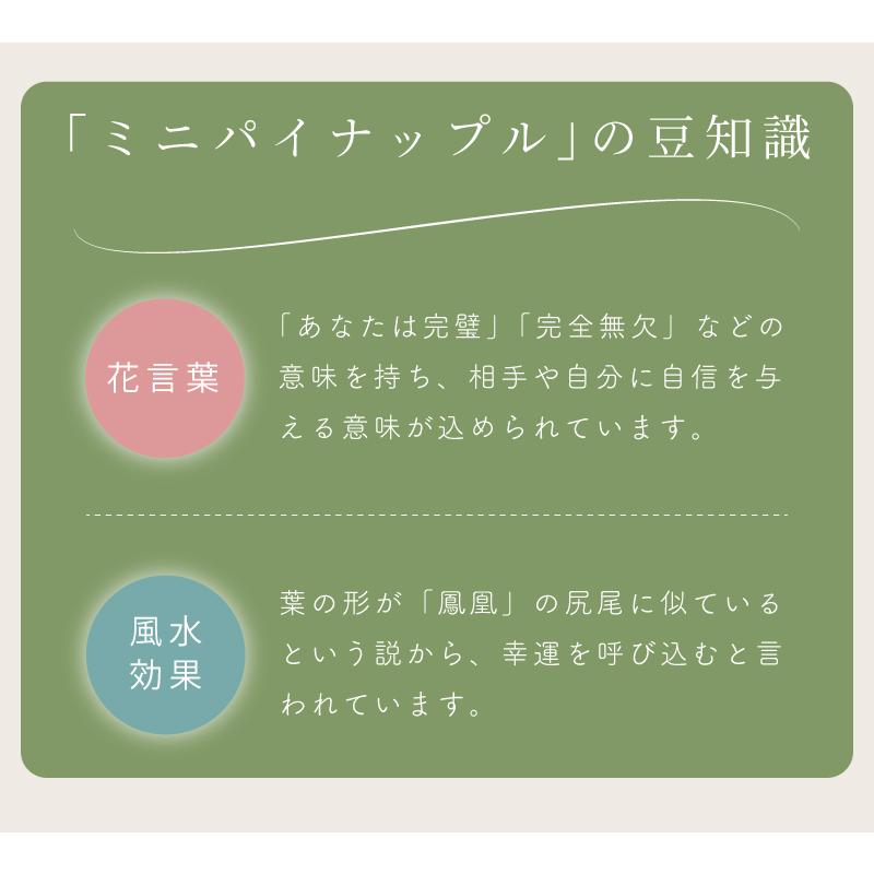 人工観葉 観葉植物 南国 フェイクグリーン おしゃれ 緑 インテリア 造花 リーフ ミニパイナップル 風水 水やり不要 アジアン 敬老の日 ギフト プレゼント |  | 03