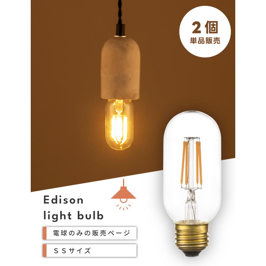 LED電球 E26 26口径 4W 2個セット LED エジソン電球 電球 電球のみ シーリングライト レトロ シンプル おしゃれ ビンテージ インダストリアル | 東谷 | 01