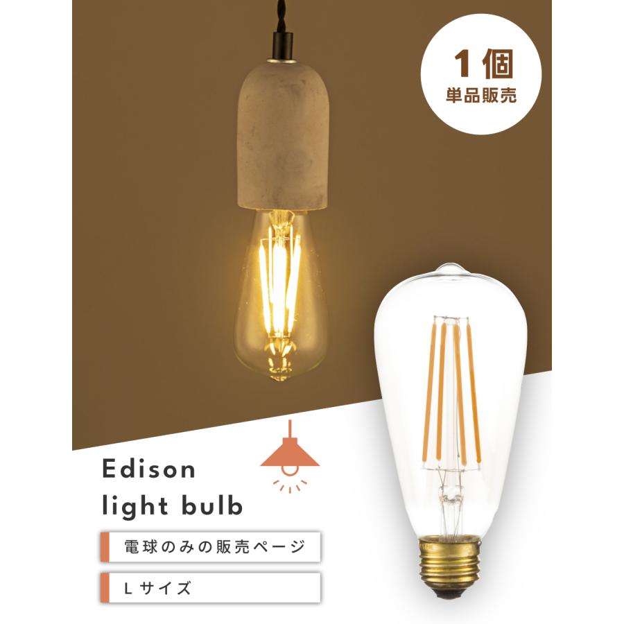 電球 E26 4W LED エジソン電球 Lサイズ 電球のみ レトロ アンティーク ヴィンテージ シンプル おしゃれ インダストリアル 電球単品 1個 26口径 照明 ビンテージ | 東谷 | 01
