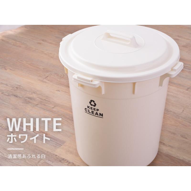東谷 ゴミ箱 45リットル おしゃれ 分別 ごみ箱 屋外 ダストボックス 蓋
