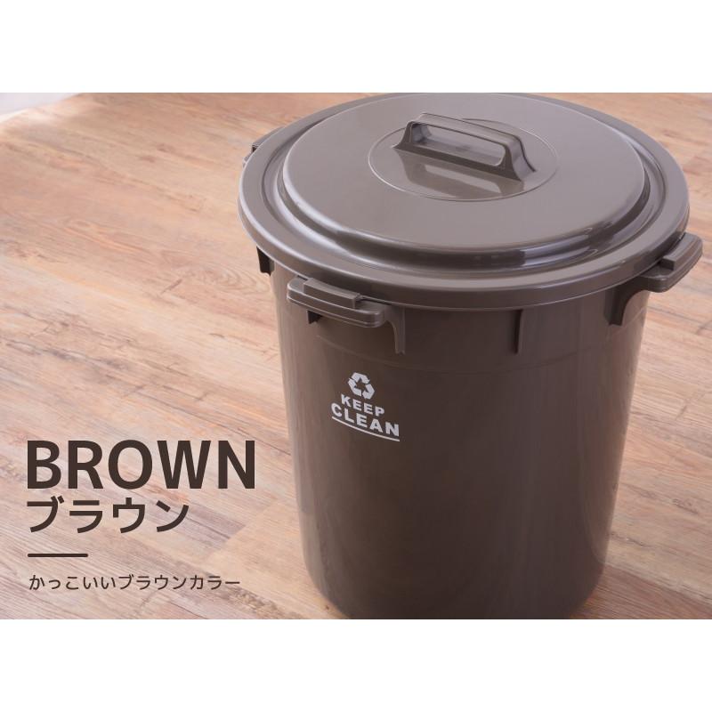 東谷 ゴミ箱 45リットル おしゃれ 分別 ごみ箱 屋外 ダストボックス 蓋