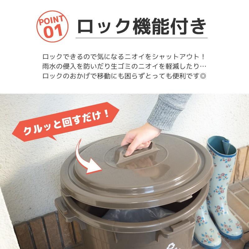 東谷 ゴミ箱 45リットル おしゃれ 分別 ごみ箱 屋外 ダストボックス 蓋