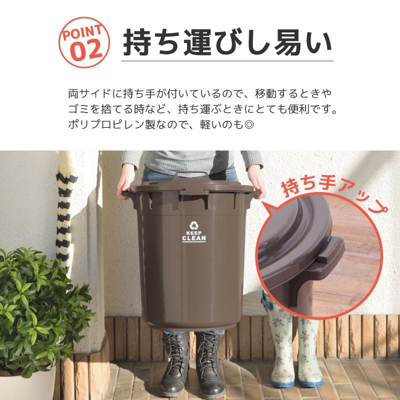 東谷 ゴミ箱 45リットル おしゃれ 分別 ごみ箱 屋外 ダストボックス 蓋