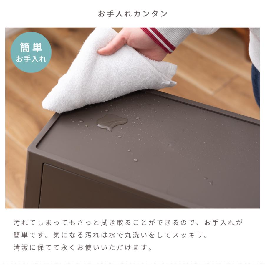 東谷 ゴミ箱 30リットル おしゃれ 分別 ごみ箱 屋外 ダストボックス 蓋