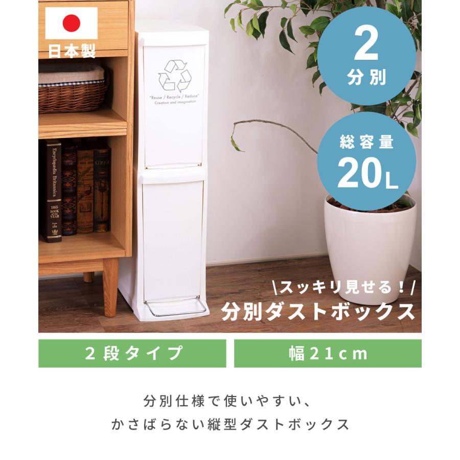 東谷 ゴミ箱 10リットル おしゃれ 分別 2段 ごみ箱 ダストボックス