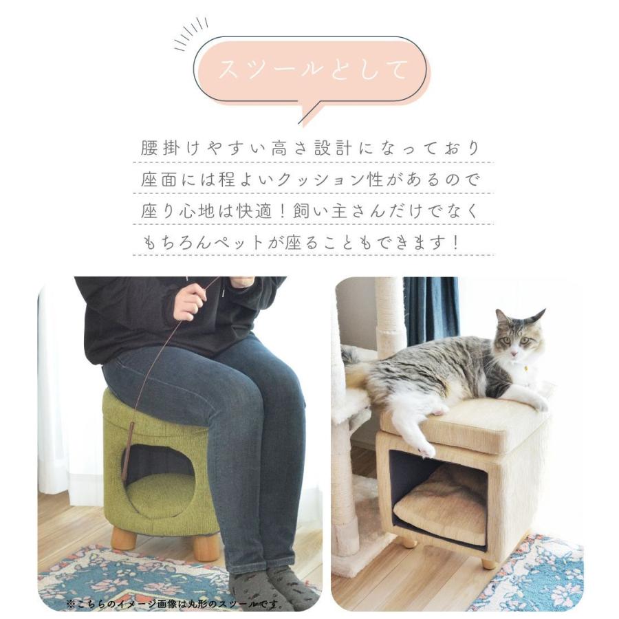 ペットハウス キャットハウス ペットスツール 室内用 スツール 猫 小型