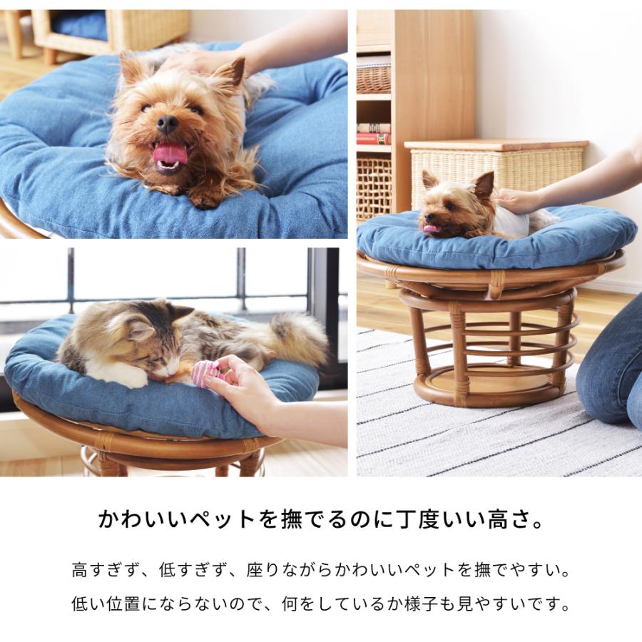 w　ペット　スツール　定価18000円　動物　犬　猫　イヌ　ネコ　格安！ ユアサプライムス.com｜ペットハウス ペットスツール 猫 小型犬