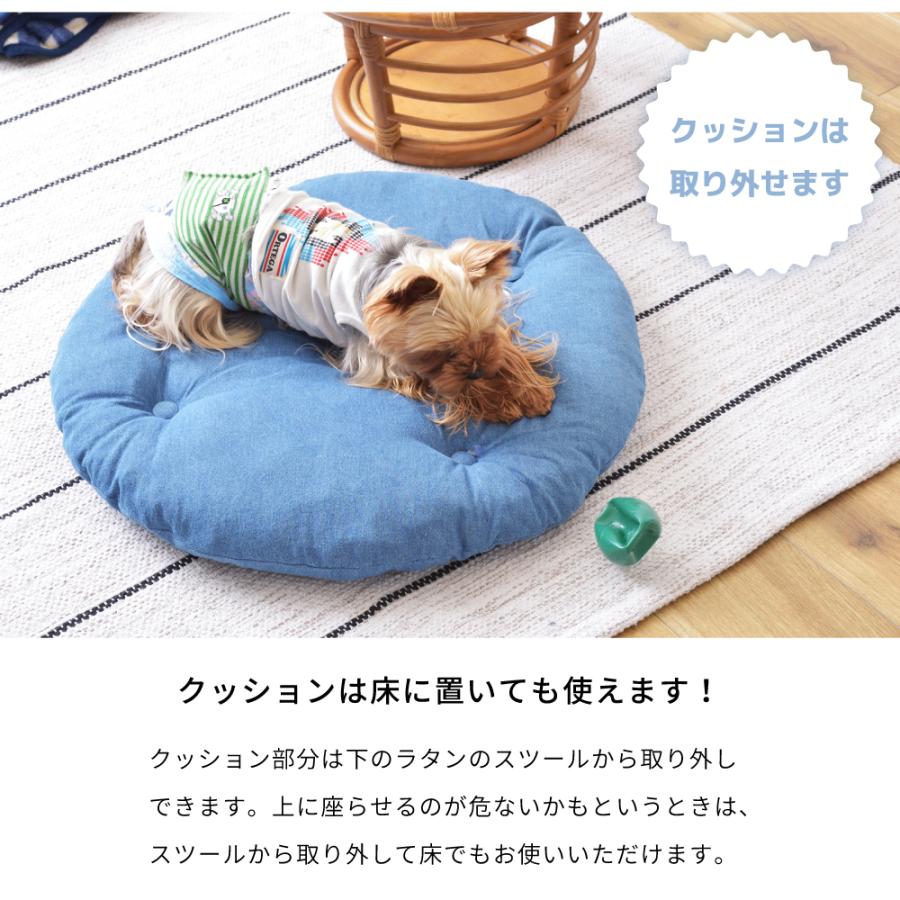 ペットスツール ペット用椅子 小型犬 猫 クッション付 かわいい 腰掛 天然木 ペットスツール ペット用椅子 小型犬 猫 クッション付 かわいい