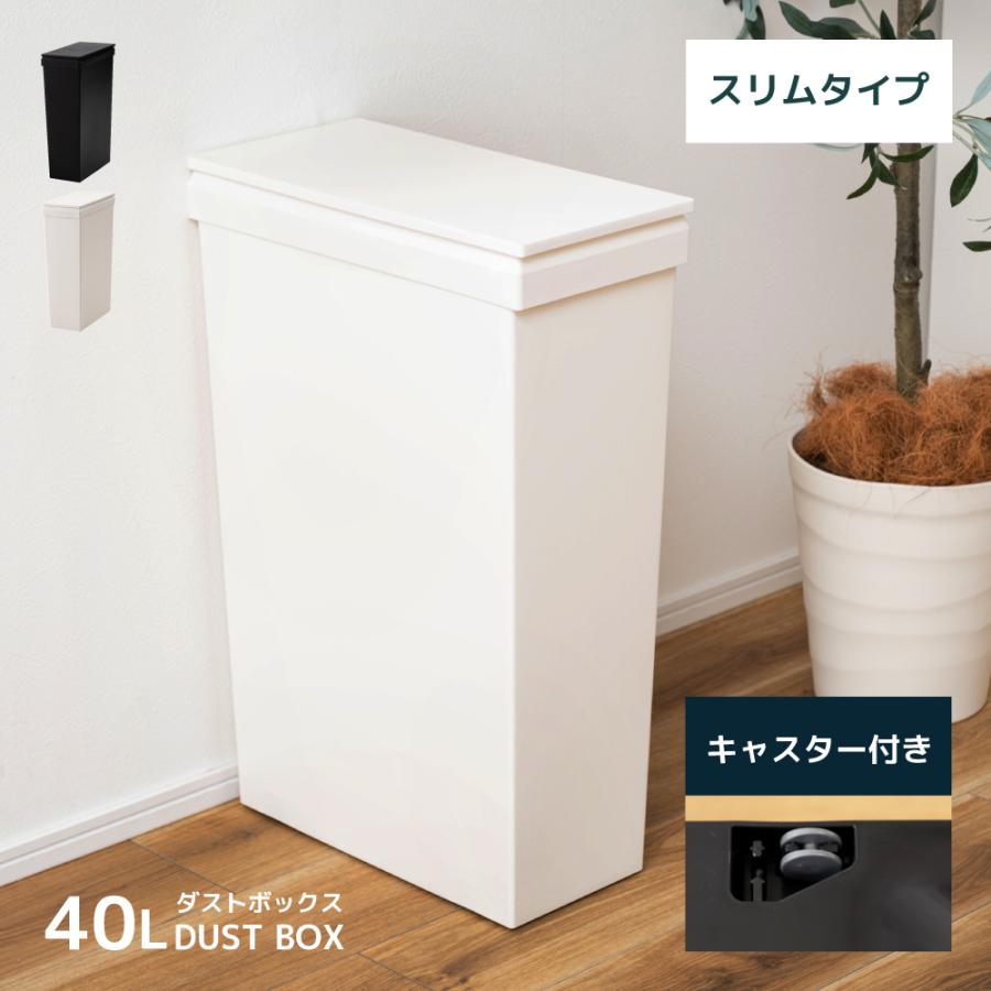 ゴミ箱 45リットル おしゃれ 屋外 分別 ごみ箱 ダストボックス 蓋付き