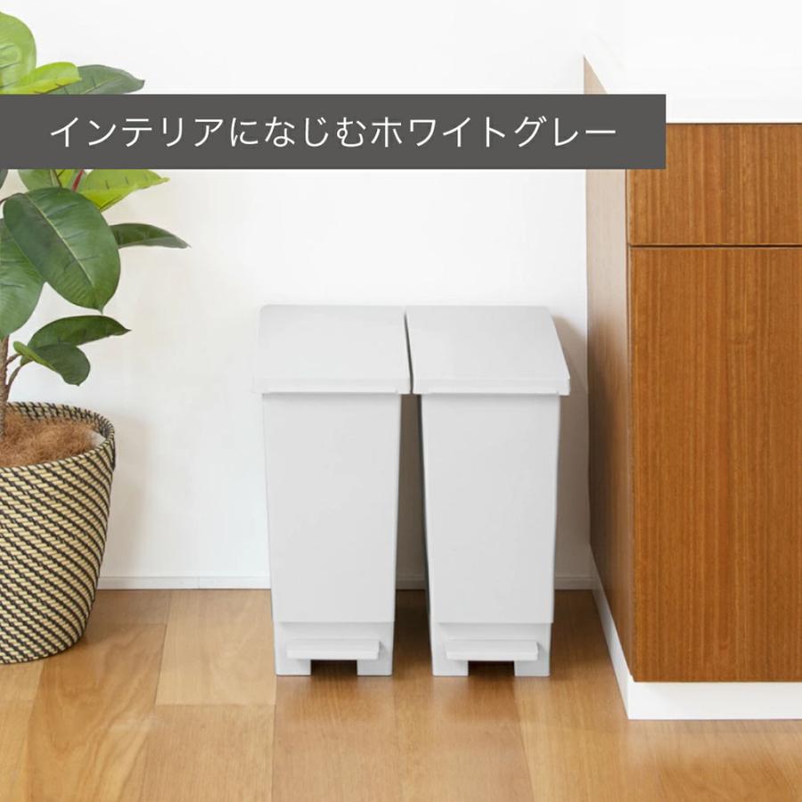 ゴミ箱 スリム 20リットル 20L 蓋つき 分別 2個セット ダストボックス