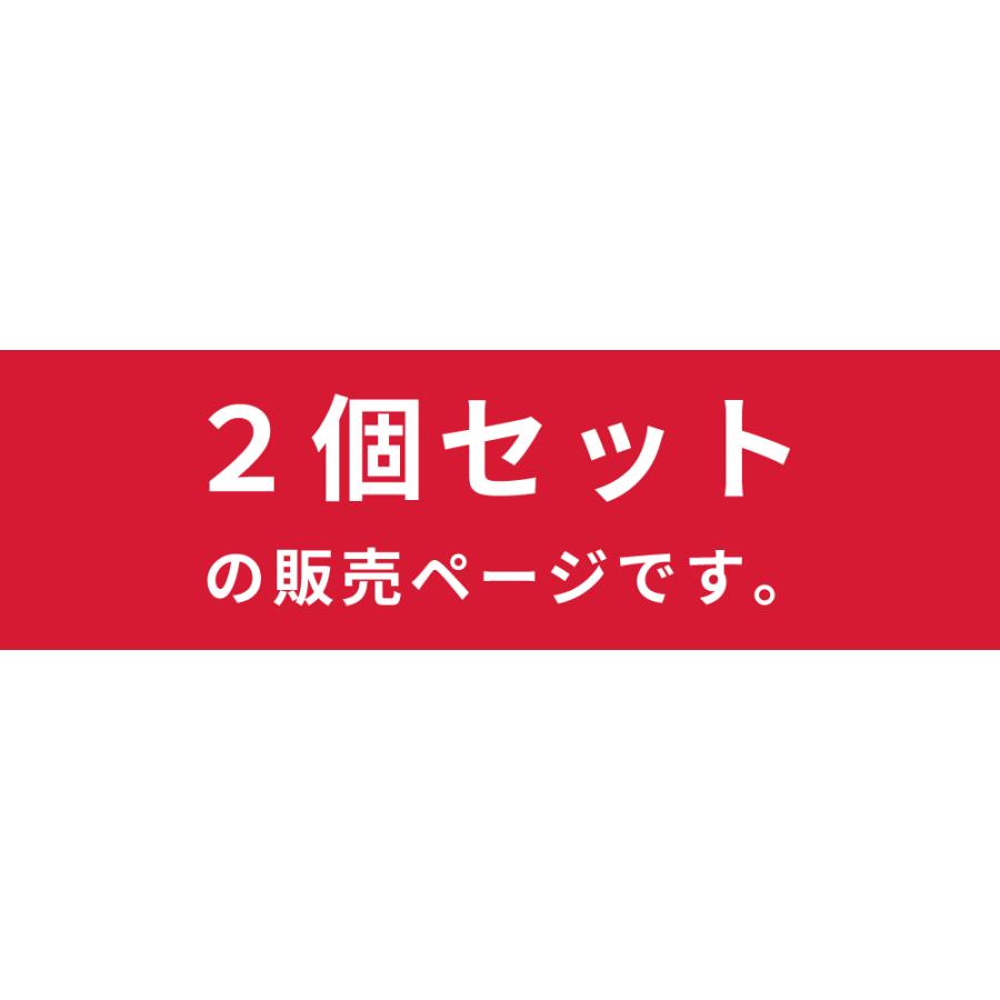 コンテナボックス 容量50L 2個セット 収納ボックス 収納ケース フタ付き 座れる おしゃれ 積み重ね プラスチック キャンプ 防災 ベルトガイド トランクカーゴ