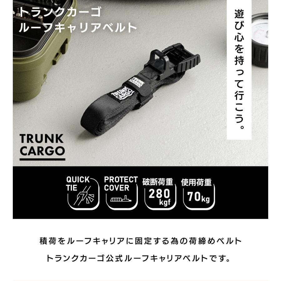 【対応中】ルーフキャリア（キャリアネット・固定ベルト2本付き） 荷締ベルト 4m 2本セット 固定ベルト 荷締めバンド ルーフキャリア