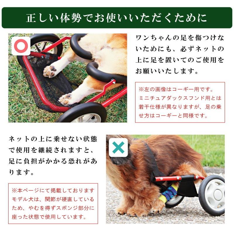 犬用車椅子 犬の車椅子 車いす ミニチュアダックス 車椅子 犬用 犬用車椅子 犬の車椅子 車いす ミニチュアダックス 車椅子 犬用