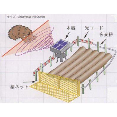 見張り晩　レーザー式夜行性動物進入防止装置