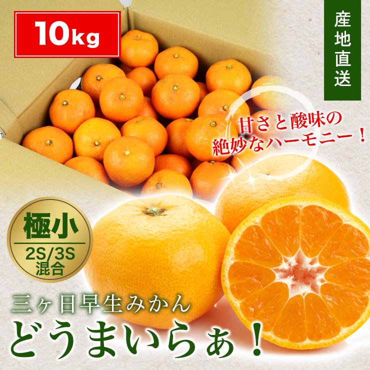 三ヶ日 早生 みかん 10kg どうまいらぁ! 小粒 3S 2S サイズ混合 三ヶ日 早生 みかん 10kg どうまいらぁ! 小粒 3S 2S サイズ混合
