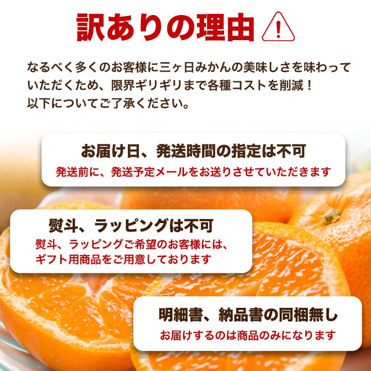 予約】【 小玉限定 】 三ヶ日 青島 みかん 10kg 送料無料 訳あり どう