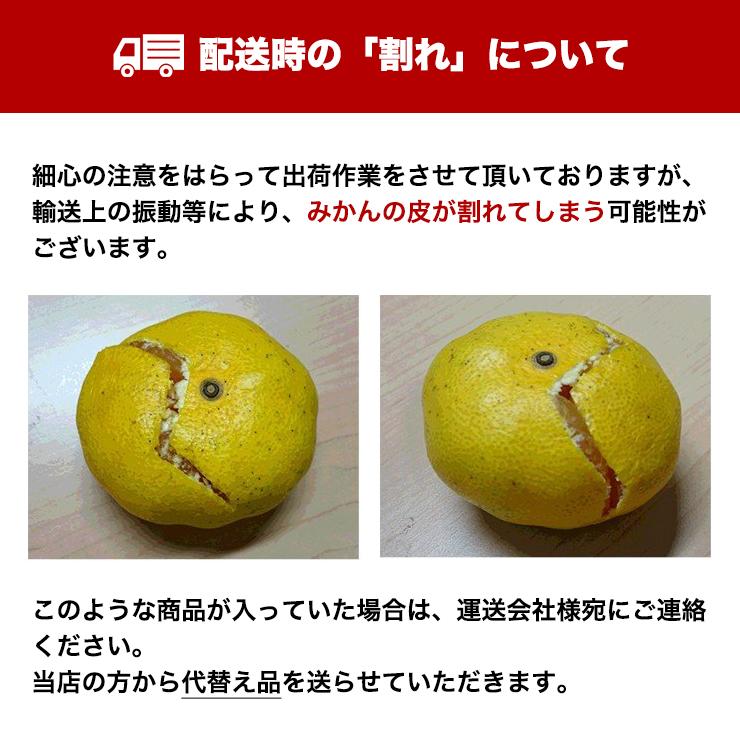 三ヶ日の青島みかん(小玉)10キロ 予約】【 小玉限定 】 三ヶ日 青島 みかん 10kg 送料無料 訳あり どう