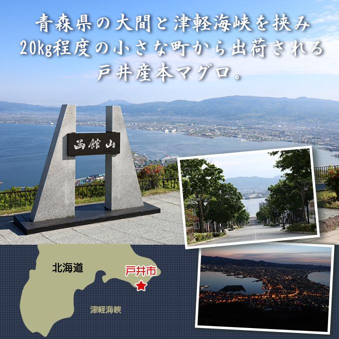 北海道 函館市 戸井 産 本マグロ 中トロ 1kg 冷凍 ブロック クロマグロ 国産 津軽海峡 戸井 函館 中とろ トロ とろ 本まぐろ 本鮪 まぐろ マグロ まぐろ 鮪 食品 戸井 中トロ まぐろ