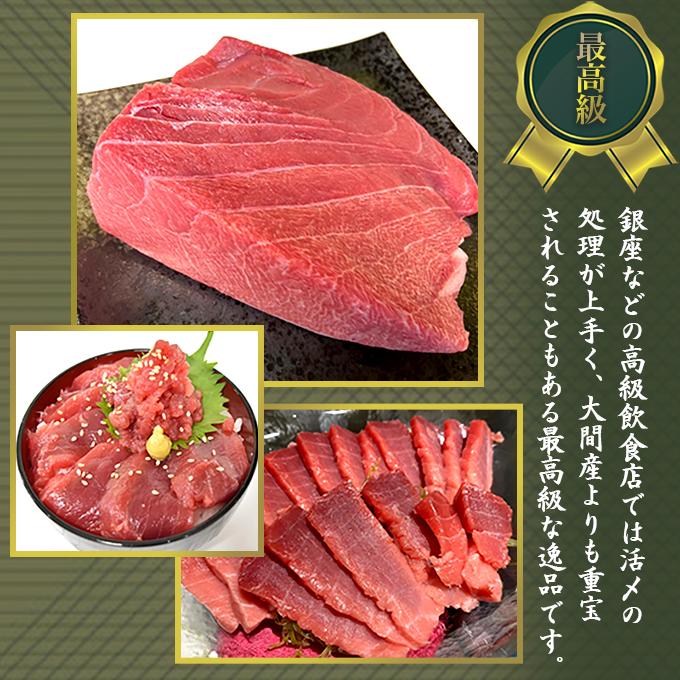 【数量限定アウトレット品】 北海道 函館市 戸井 産 本マグロ 大トロ 1kg 冷凍 ブロック クロマグロ 国産 津軽海峡 戸井 函館 大とろ トロ とろ 本まぐろ 本鮪 まぐろ マグロ まぐろ 鮪 食品 【Y2731327650】(14817円)