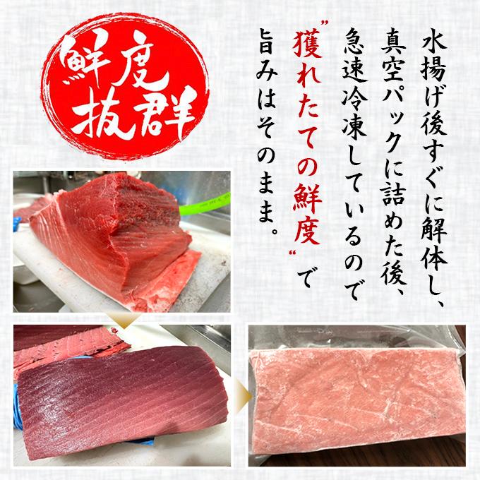【数量限定アウトレット品】 北海道 函館市 戸井 産 本マグロ 大トロ 1kg 冷凍 ブロック クロマグロ 国産 津軽海峡 戸井 函館 大とろ トロ とろ 本まぐろ 本鮪 まぐろ マグロ まぐろ 鮪 食品 【Y2731327650】(14817円)