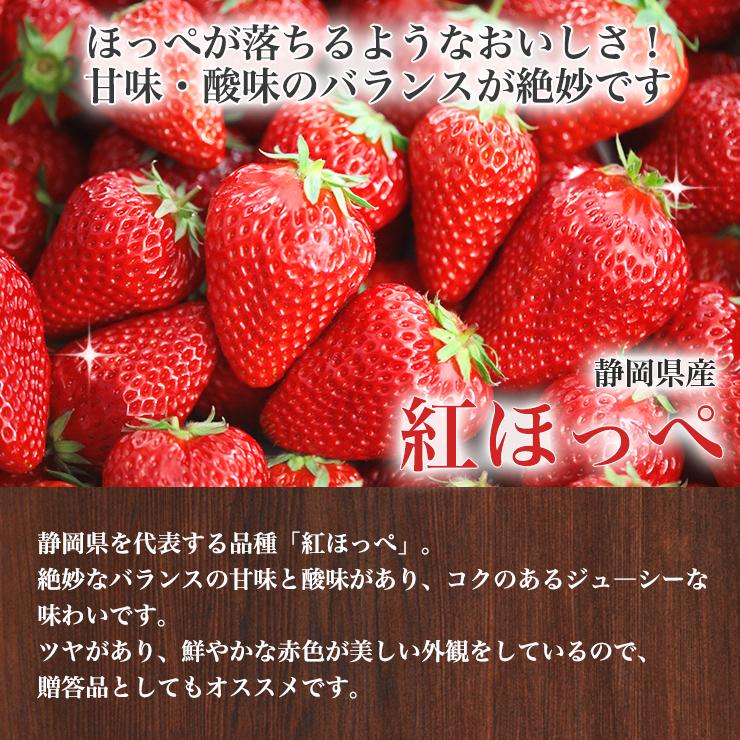 冷凍イチゴ 紅ほっぺ 冷凍 いちご 約 2kg 送料無料 農家 直送 静岡 苺 冷凍いちご イチゴ 取り寄せ 農家直送 静岡県 果物 フルーツ 自宅用 美味しい 家庭用 産地｜maiu-town｜02