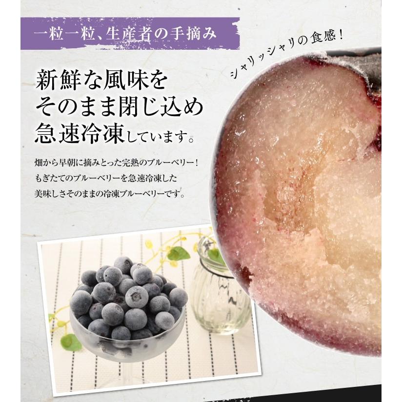 冷凍 ブルーベリー 国産完熟  冷凍ブルーベリー 1kg (500g×2パック） 紀州 和歌山 有田産 フレッシュ 完熟 フルーツ 果物 おいしい 美味しい 減農薬 長期保存可｜maiu-town｜02