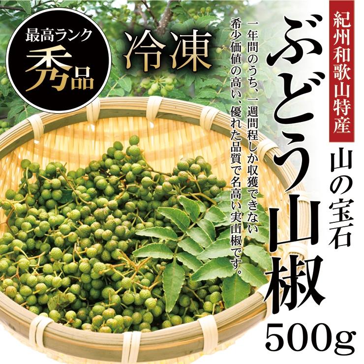 産地直送 冷凍 山椒 山椒の実 500g 紀州和歌山特産 山の宝石 国産 