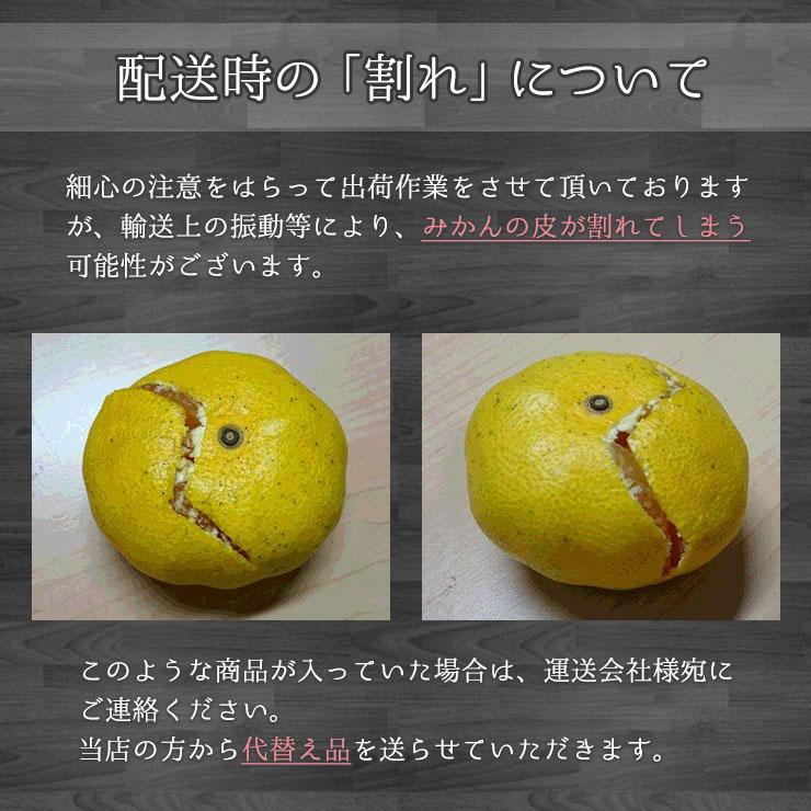 みかん10㌔青島、大津ミックス、サイズもミックスS〜4Ｌ　減農薬/八百屋セレクト 訳あり 減農薬 有機栽培 無農薬 混合 三ヶ日 青島 みかん 10kg 送料