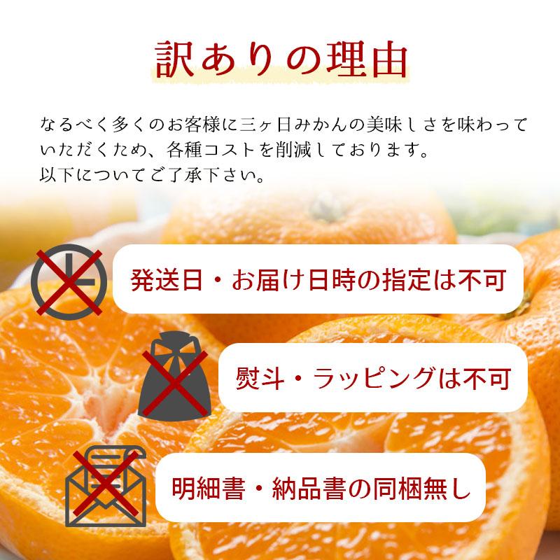 訳あり 減農薬 有機栽培 無農薬 混合 三ヶ日 青島 みかん 10kg 送料