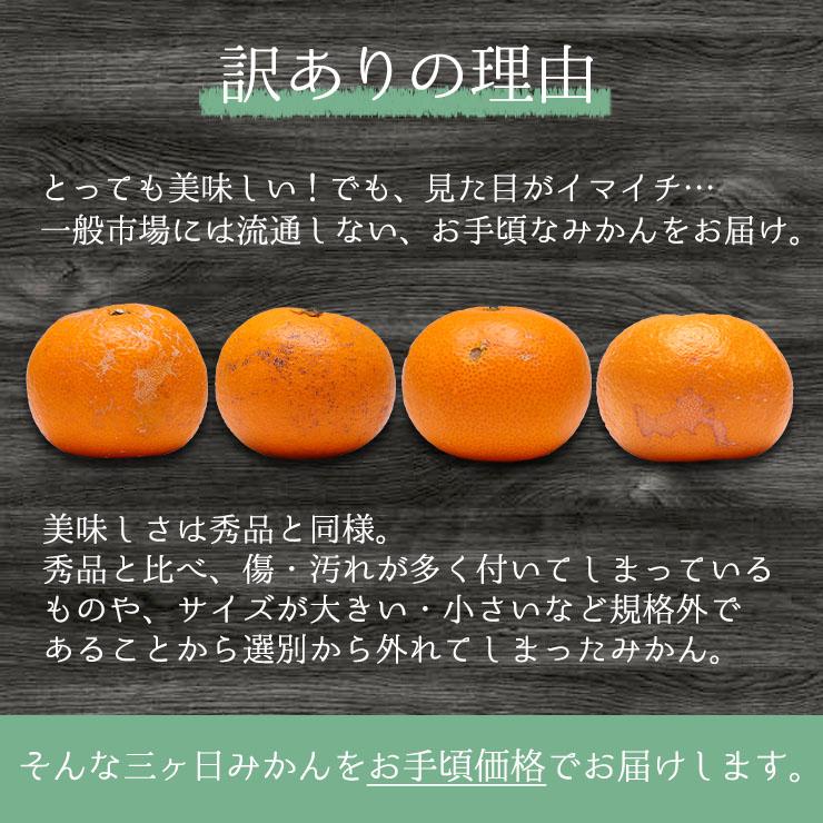 訳あり 減農薬 有機栽培 無農薬 混合 三ヶ日 青島 みかん 10kg 送料