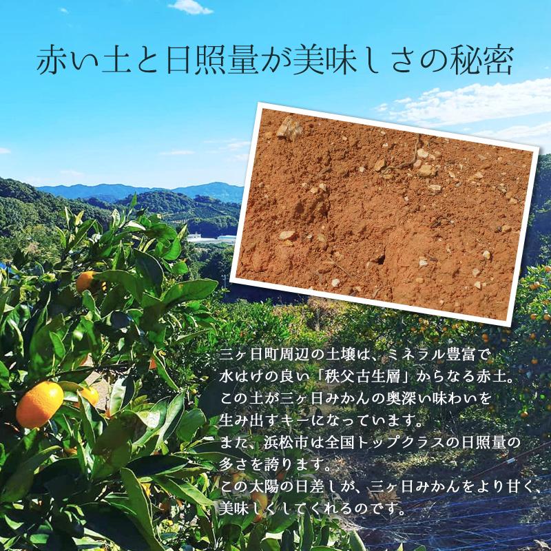 みかん10㌔青島、大津ミックス、サイズもミックスS〜4Ｌ　減農薬/八百屋セレクト 訳あり 減農薬 有機栽培 無農薬 混合 三ヶ日 青島 みかん 10kg 送料