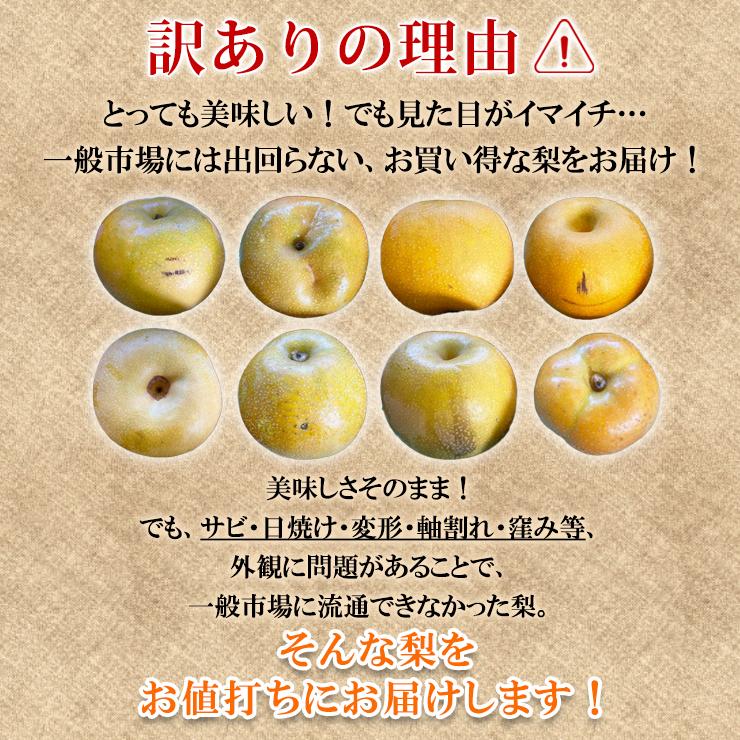 訳あり 大門梨 低農薬 有機栽培 りんご梨 10kg 富山県産 朝採り 梨 完熟梨 赤土栽培 完熟 樹熟 呉羽梨 フルーツ ナシ なし 果物 ...